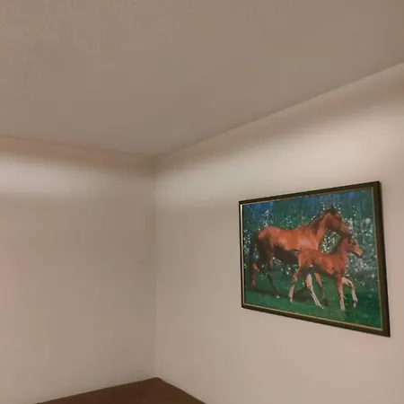 6 Osobowy דירה שצ'קלארסקה פוראובה
